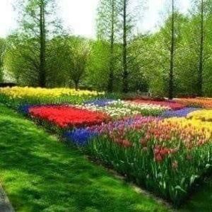 Meet your Posher, Amal